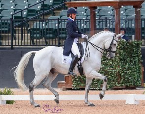 Adrienne Lyle and Harmony's Duval at the 2019 CDI Tryon :: Photo © Sue Stickle