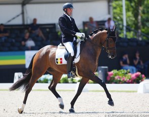 Nick van Laer and Conan at the 2018 World Young Horse Championships :: Photo © Astrid Appels