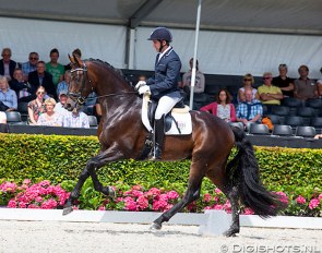 Severo Jurado Lopez and Furst William HC won the 4-year old stallion class at the 2016 World Young Horse Championships :: Photo © Digishots