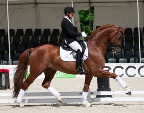 Severo Jurado Lopez and the Swedish warmblood stallion Springbank II are qualified for Ermelo
