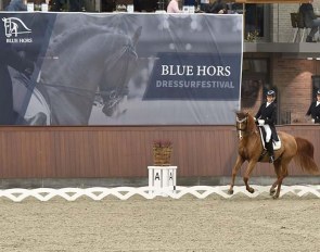 Blue Hors Dressage Festival