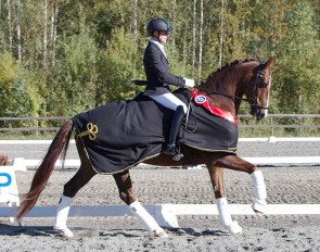 Jonas Elvebakk on Joshua at the 2019 Norwegian Young Horse Championships :: Photo © Line Moen