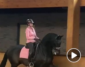 Anky van Grunsven and Bon Bravour pretty in pink