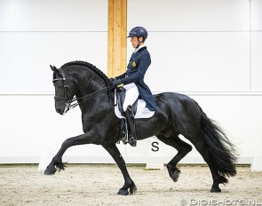 Marc-Peter Spahn on Elias at the  2019 European Championship for Friesian Dressage Horses :: Photo © Digishots