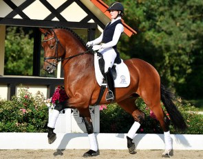 V-Plus Gold (by Vivaldi x Furst Romancier)