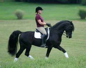 Ange Bean on Statesman's Eclipse