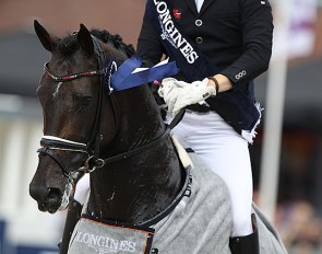 Zucchero OLD, winner of the 6-year old Finals at the 2019 World Young Horse Championships :: Photo © Astrid Appels