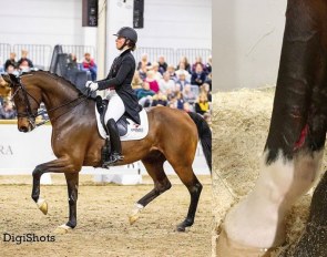 Anna Kasprzak and Fuhur at the 2020 CDI Lillestrøm, Fuhur's injured leg. 