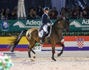 Katherine Bateson Chandler and Alcazar at the 2020 CDI Wellington :: Photo © Sue Stickle