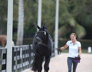 Susan Pape and Don Nobless walking towards the horse inspection at the 2020 CDI 5* Wellington :: Photo © Astrid Appels