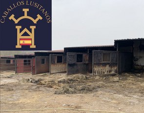 Stables burnt out at Yeguada La Perla