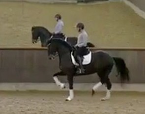 Severo Jurado Lopez on Savona on the Helgstrand sales video