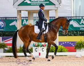 Steffen Peters and Suppenkasper at the 2020 CDIO Wellington :: Photo © Sue Stickle