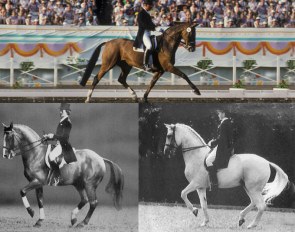 Heroes of the past, achieving the ideal standards of dressage