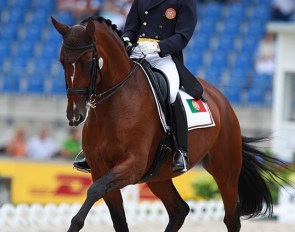 Batuta at the 2015 European Dressage Championships :: Photo © Astrid Appels