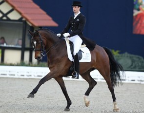 David Lessnig and Dior competing at Horses & Dreams at Hof Kasselmann :: Photo © Astrid Appels