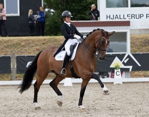 Anne-Mette Strandby Hansen and Foco Loco W at the 2020 CDN Hjallerup :: Photo © Helgstrand