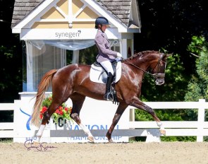 Alice Tarjan and Gjenganger at the 2020 U.S. Young Horse Championships :: Photo © Sue Stickle
