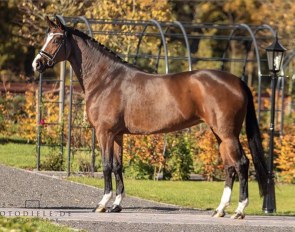 Bernadette Brune's Feel Free OLD (by Foundatio x Sandro Hit x Donnerhall) :: Photo © Fotodiele.de