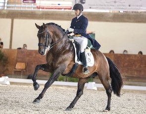 Joao Miguel Torrao and Equador MVL at the 2020 CDI Beloura in Portugal :: Photo © ABR Photography