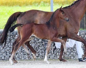 For Ever You (by For Romance II x Furst Piccolo)