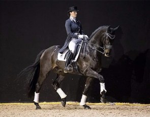The internationally competed Grand Prix horse Oldi (by Swagman x Don Primero) is part of the auction collection