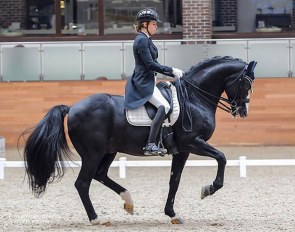 Maria Klementieva and Doctor Wendell MF competing at Maxima Park in Moscow in 2019