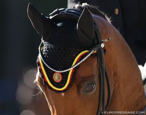 Logo of the Belgian Equestrian Federation (KBRSF) on a fly cap :: Photo © Astrid Appels
