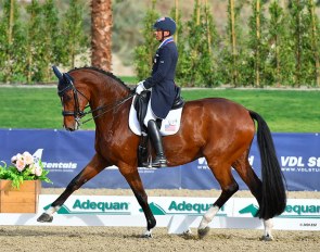 Steffen Peters and Suppenkasper at the 2020 CDI-W Thermal :: Photo © ESI Photography