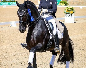 Katherine Mathews and Soliere, the 2010 World Young Horse Championship silver medal winner, at the 2020 U.S. Young Riders Championships :: Photo © Sue Stickle