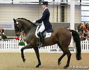 Tobias Nabben and Peppo at the 2015 CDN Munster K+K Cup :: Photo © Barbara Schnell