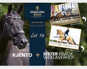 Lot 16 Kjento x Sir Donnerhall I x Royal Diamond