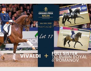 Lot 17 Vivaldi x Rohdiamant x Grundstein II