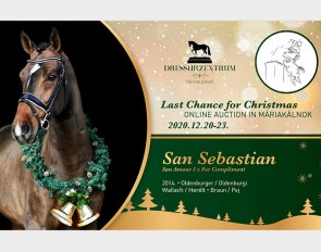 "Last Chance for Christmas Online Elite Auction at Mariakalnok Dressage Centre