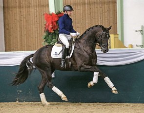 Ticino (by Toto Jr x Jazz) :: Photo © Anett Somogyvari