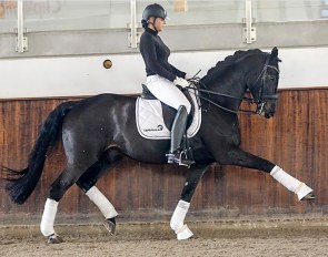 Anja Plönzke on Belfast Ra. Photo for the auction catalogue
