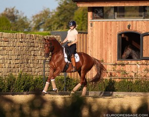 Terhi Stegars and Eddox (by Gribaldi x Ferro) at the Contern Dressage Center in Luxembourg :: Photo © Astrid Appels
