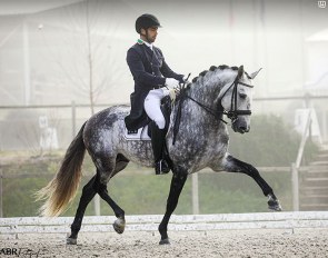 Roberto Brasil and Vila de Sagres' Grand Prix stallion Hercules d'Atela :: Photo © Afonso Rodrigues