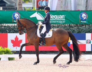 Olivia Lagoy-Weltz and Rassing's Lonoir at the 2021 CDI-W Wellington :: Photo © Sue Stickle