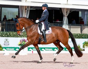 Steffen Peters and Suppenkasper at the 2021 CDI Wellington :: Photo © Sue Stickle