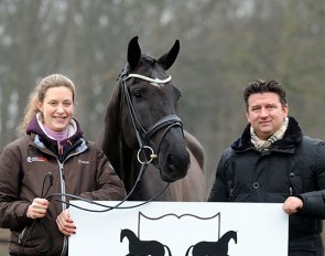 Sportpferde Fabian Scholz proudly presents his first Hybrid auction with bidding live on the scene as well as online on 28 February 2021.