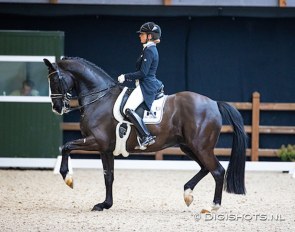 Marlies van Baalen and Go Legend (by Totilas) were the break-out stars at the 2021 CDN Tolbert last weekend, scoring 77% in the Grand Prix :: Photo © Digishots