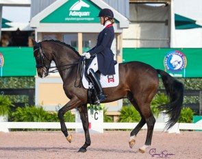 Lindsey Kellock and Sebastien at the 2021 CDI-W Wellington :: Photo © Sue Stickle