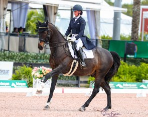 Bearice Boucher on Hexagon's Baldacci at the 2021 CDIO-U25 Nations Cup in Wellington :: Photo © Sue Stickle