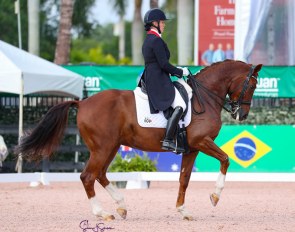Karen Pavicic on Totem at the 2021 CDIO Wellington :: Photo © Sue Stickle