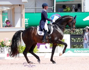 Sabine Schut-Kery and Sance at the 2021 CDIO Wellington :: Photo © Sue Stickle