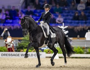 The Grand Prix stallion Desperado is one of the most talented Dutch dressage stallions at this moment! The dam of his daughter Naberlina passed the mare test with several 8s and is sired by the valuable breeding stallion San Remo.