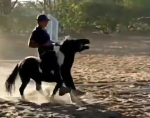 Leandro Silva giving the family pony "a correction" for biting his daughter