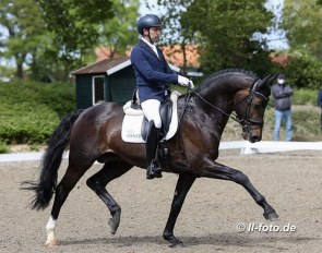 Manuel Dominguez Bernal and Escamillo at the 2021 Haftenkamp BuCha qualifier :: Photo © LL-foto