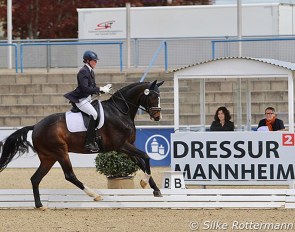 Andrea Lahmeyer and Quinsam L competing at the 2021 CPEDI Mannheim :: Photo © Silke Rottermann